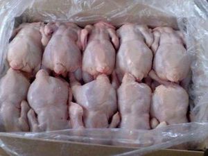 Pollo Entero Congelado Halal, de Primera Calidad, con Patas, Grasa y Estilo Cocinado, envasado al Vacío, 10 kg, con 18 Meses de Caducidad (UE) - Product Image 3