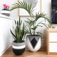Classique Fiber De Ciment Vase Décoration de La Maison OEM Art Pots De Fleurs et Jardinières Center Commercial Hôtel Accessoires Pot De Fleur Cadeau