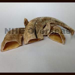 Premium Ram Horn Dog Bones Natural Strong Safe Healthy Durable Masticables de larga duración para cachorros y perros adultos - Product Image 4