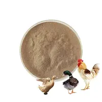 Gli additivi speciali per mangimi migliorano l'immunità dell'additivo per mangimi per animali di carne e pollame