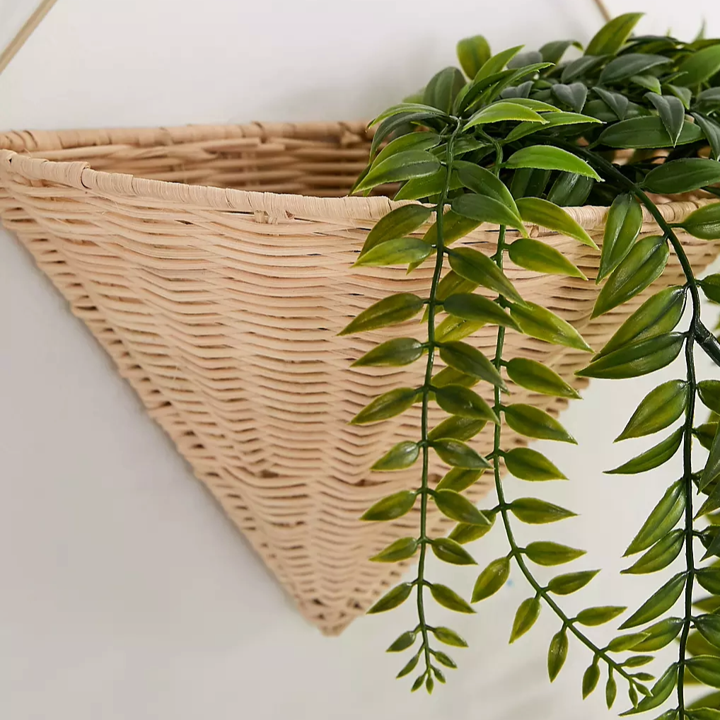 เป็นรูปถ่าย