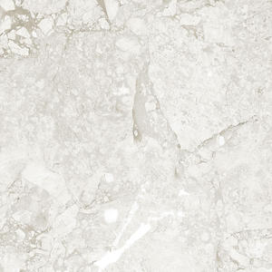 Carreaux de céramique dorés 600x600mm Carreaux de porcelaine émaillée pour décoration murale et salle de bain Utilisation de l'exportateur indien - Product Image 5