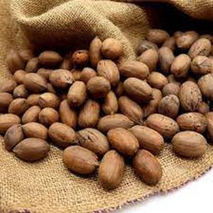 Pecans entiers salés cuits au four de haute qualité, riches en saveur et en nutriments, disponibles dès maintenant en vrac à un prix compétitif - Product Image 1