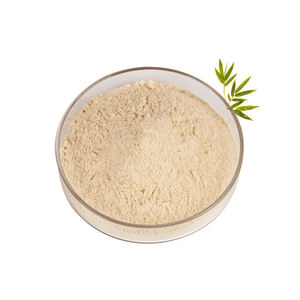 Poudre d'extrait de bambou organique naturel Poudre d'extrait de pousse de bambou naturel de haute qualité directement d'Inde - Product Image 2