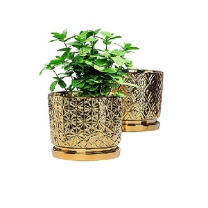 ธีมที่แตกต่างกันสําหรับพืชในร่มกระถางดอกไม้ที่มีพืชทองยืนสําหรับห้องนั่งเล่นลานระเบียงสวนสนามหญ้าพื้นโลหะชาวไร่ - Product Image 6