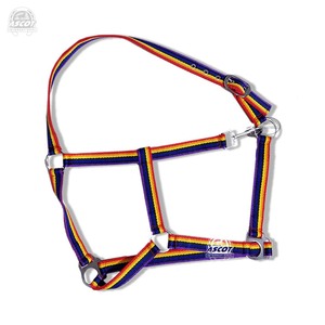 Meilleures ventes de licou d'équitation en nylon de style occidental avec raccords en acier inoxydable selle équestre en gros gravée - Product Image 1