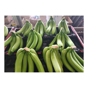 Emballé avec des bananes en gros de saveur: Meilleurs prix garantis Meilleur prix Cavendish Banana Farm-Bananes fraîches, - Product Image 3