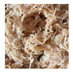 มอสทะเลไอริชแบบพรีเมี่ยม/สาหร่ายสีทองอบแห้งช่วยเพิ่มอาหารของคุณด้วยโรงไฟฟ้าที่มีสารอาหารจากเวียดนาม - Product Image 2