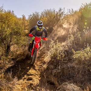 Hondaa CRF 450RX 2024 - Product Image 2