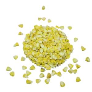 Semillas de Maíz Dulce BCA Premium, Híbrido F1 de Alta Calidad para Agricultura Profesional y Venta al por Mayor desde Indonesia, 6 Meses de Vida Útil - Product Image 2