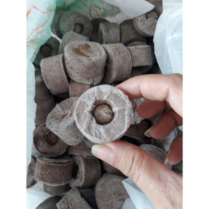 พืชธาตุดินเม็ดพีทโกโก้ Jiffy / เม็ดพีทโกโก้สําหรับเพาะเมล็ดพืชราคาดี - Product Image 6