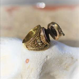 แหวนทองเหลืองพร้อมช่องลับรูปแมลงปีศาจ |   แหวนด้วงทองปรับขนาดได้ |   เครื่องประดับโอนิกซ์และมูนสโตน |   ของขวัญที่ไม่เหมือนใคร - Product Image 2