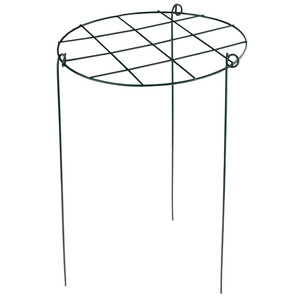 Flower <b>Plant</b> Nursery with Iron <b>Frame</b> Overgrown with Mesh - Product Image 2