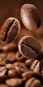 Premium Whole Roasted Arabica Coffee <b>Beans</b> 13% Rich Aroma Smooth Flavor 12-Month Shelf Life Freshly Packed for Ultimate - Product Image 3