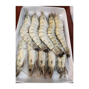 Camarones Tigre Negros Congelados a Precio de Fábrica, Suministro en Grandes Cantidades para Distribución Mayorista de Mariscos - Product Image 3