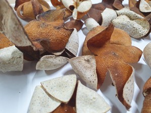 Cáscara de Cítricos Seca con Aroma Intenso, Chenpi Premium, Cáscara de Mandarina Natural Añejada 3 Años, Baja Humedad, Venta al Por Mayor - Product Image 2
