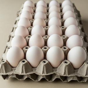 ไข่ไก่สีน้ำตาลและสีขาวผลิตภัณฑ์ในฟาร์มสดและสะอาดจำนวนมากสำหรับผู้ซื้อต่างประเทศ - Product Image 4