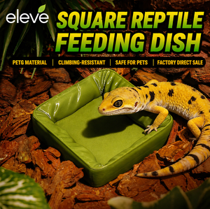 Tazón Redondo de Alimentación Lenta para Mascotas, PETG, Anti-Asfixia, Antideslizante, Impermeable, Plato de Alimentación Moderno para Gatos y Perros, Bandeja para Mascotas Pequeñas - Product Image 1