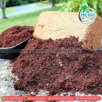 La tourbe de noix de coco est excellente pour le jardinage commercial et domestique assurant une plantation réussie du Viet Nam