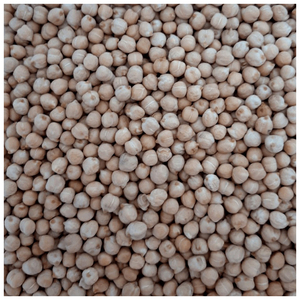 ถั่วชิกพีเหลืองสดใหม่ คุณภาพดี ราคาถูก ขายส่ง เกรด AA พรีเมียม ปลอดจีเอ็มโอ - Product Image 6