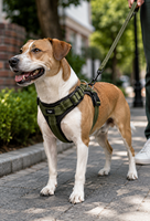 Harnais Réfléchissant Robuste pour Chien, Réglable, Anti-Traction, avec Anneau en D Métallique, pour Chiens de Petite, Moyenne et Grande Taille, pour la Marche et l'Entraînement