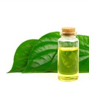 100% huile essentielle de feuille de bétel naturelle pure extrait de plantes cultivées sauvages dans une bouteille en verre ou en plastique meilleur prix - Product Image 4