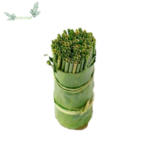 Venta al por mayor de pajitas desechables naturales ecológicas de Vietnam, producto Eco2go de alta calidad a precio competitivo - Product Image 3