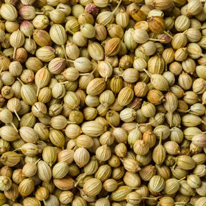 เมล็ดผักชีบริสุทธิ์ที่เก็บเกี่ยวสดใหม่เครื่องเทศรสเลิศสำหรับอาหารของแท้รสชาติเข้มข้นสำหรับใช้ในบ้านร้านอาหาร - Product Image 2