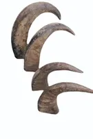 Corne et corne brutes de buffle naturelles Pointe blanche et quantité Couleur noire et naturelle pour agate Taille et corne personnalisées