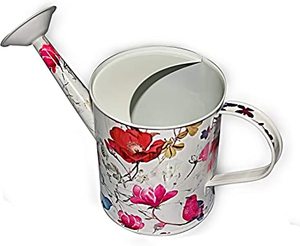 Conception imprimée fleur outils de jardin arrosoir Mini eau peut élégant dur en sécurité santé métal arrosoir prix de gros - Product Image 1