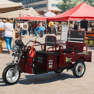 QSD Factory's Hot Sale 48V <span class=keywords><strong>Trimoto</strong></span> eléctrico Bicicleta <span class=keywords><strong>de</strong></span> carga <span class=keywords><strong>de</strong></span> 3 ruedas Cuerpo abierto para 2 personas Viaje urbano Paseos relajados - Product Image 6