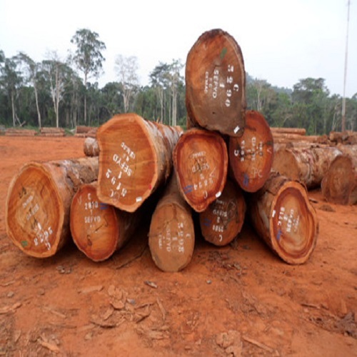 Высококачественные африканские бревна Tali Woods/Gabon Doussie древесные бревна-сырье высокое качество низкий налог для продажи