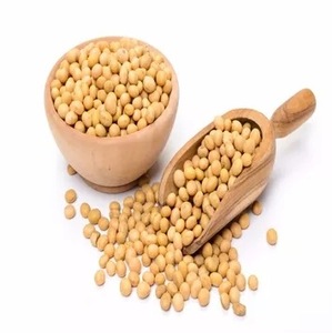 Graines de soja non-OGM à haut rendement avec 18 % de protéines, maturité précoce, conditionnement en vrac 25 kg pour une production agricole améliorée - Product Image 3