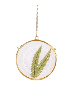 Square Shape Pressed <b>Leaves</b> Glass Wall Frame for Display for Home Living Room Office Wall Hanging Decorative Item - Product Image 4
