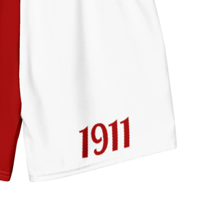 Costume da bagno KAP greco confraternita pantaloncini da spiaggia in poliestere riciclato da uomo abbigliamento estivo atletico con fodera - Product Image 6