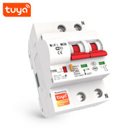 Disjoncteur intelligent Wi-Fi Tuya Smart 2P MCB 16A 25A 32A 40A 63A à commande à distance, prix usine PST-MCB-2P