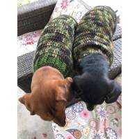 Pull de luxe pour chien en motif crochet militaire moderne et traditionnel toutes saisons adapté à votre animal de compagnie préféré