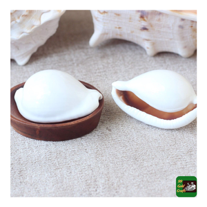 White Cowry Cowrie Seashell Egg-Style Animal Shell para decoración del hogar DIY con datos de oro pulido 99 - Product Image 5