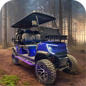 Transport City Small Remote 4000W Unique Luxury 2 + 2 Seater Mini Electric Golf Cart - Product Image 3