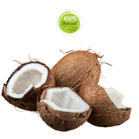 Meilleure noix de coco séchée du Vietnam à chair épaisse, 100% naturelle, complément parfait pour les compotes de fruits tropicaux