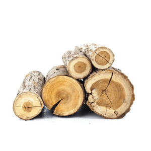 Bûches de bois Iroko fournies en grande quantité pour revêtements de sol armoires et intérieurs - Product Image 6