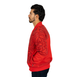 Men's Winter Bomber <b>Jacket</b> 100% Polyester Waterproof Windproof Breathable Zipper Front Plain Dyed High Street Style - Product Image 4