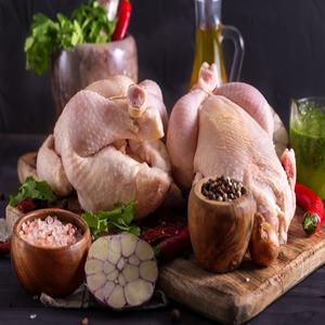 Delicious Packaging Brand Frozen Chicken Body Paquete al vacío de calidad premium Proceso de congelación LQF Entrega rápida - Product Image 6