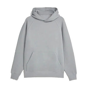 Sudadera con capucha French Terry 450gsm logotipo personalizado 380 500 Gsm peso pesado en blanco 100% algodón orgánico pesado de gran tamaño Sudadera con capucha a granel hombres - Product Image 1