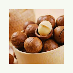 Nueces de Macadamia en línea para la venta comprar a granel nueces crudas o tostadas saludables snack de calidad premium - Product Image 6