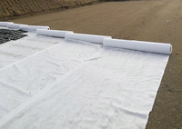Tissu géotextile non tissé en PET pour la construction routière, le drainage et la séparation des sols, tapis de filtration, rouleau de géotextile