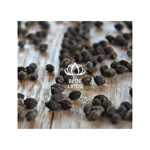 Extracto de semillas de papaya secas Tratamiento de Vietnam Semilla negra Vietnam para importación Exportación Calidad Productos de Loto Azul - Product Image 1