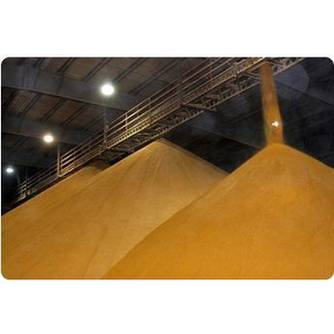 DDGS de maïs 100% naturel, valeur nutritionnelle élevée, alimentation d'origine brésilienne, qualité standard 2 en vrac pour la production d'élevage commercial - Product Image 4