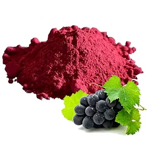 High Quality 100% Natural Dried Black Grapes Powder Bulk Packaging Food Grade Rich Resveratrol Antioxidants 12 Months <b>Shelf</b> Life - Product Image 4