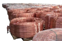 Fil de cuivre pur à 99 % et câble cathodique C&T FARM LLC US 1003